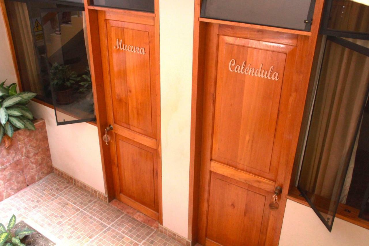 Zygo Bed & Breakfast Tarapoto Exterior foto